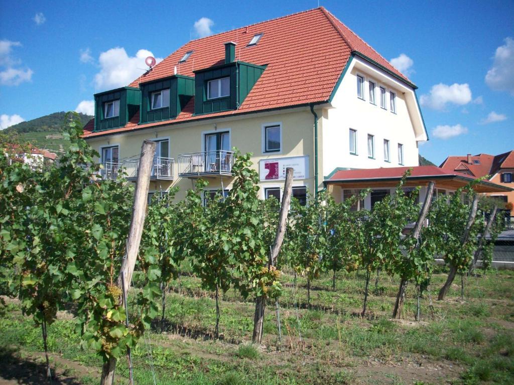 Hotel Garni Weinquadrat Weissenkirchen in der Wachau Luaran gambar